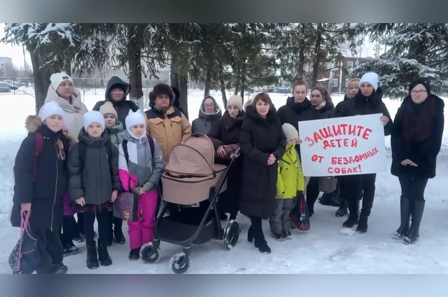 После гибели школьницы люди обратились к властям с просьбой пересмотреть систему отлова бездомных животных.