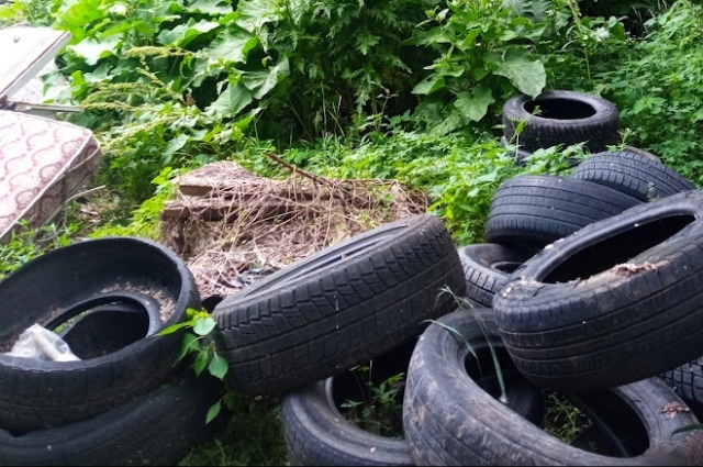 покрышки, клумбы из покрышек