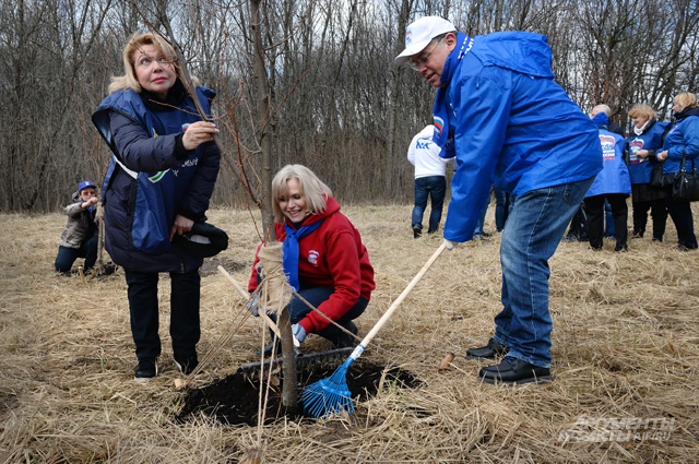 Депутаты Госдумы Елена Панина и Ирина Белых посадили дерево.