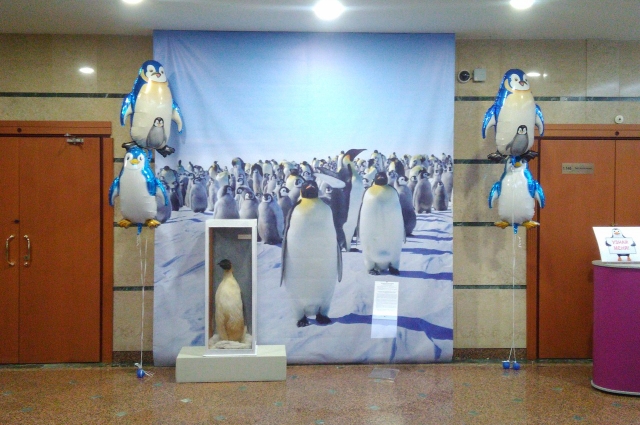 Пингвины в музее