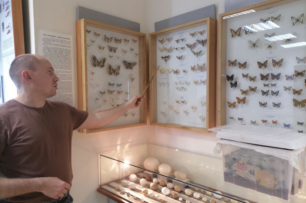 Роман зуев продемонстрировал коллекцию необычных бабочек.