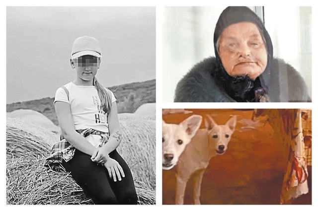 Растерзанная в Ставрополе девочка, собаки-убийцы и баба Алла, их хозяйка.