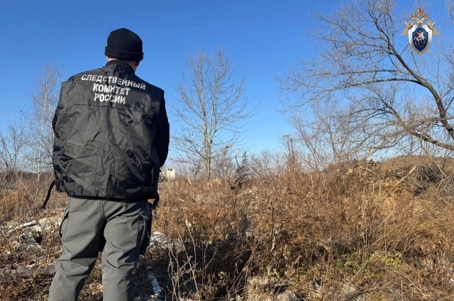 Дело удалось раскрыть благодаря признанию убийцы.