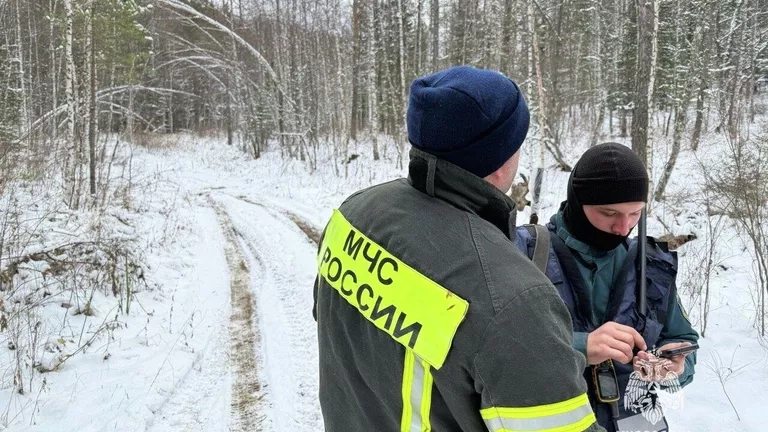МЧС, Усольцевы, Красноярский край