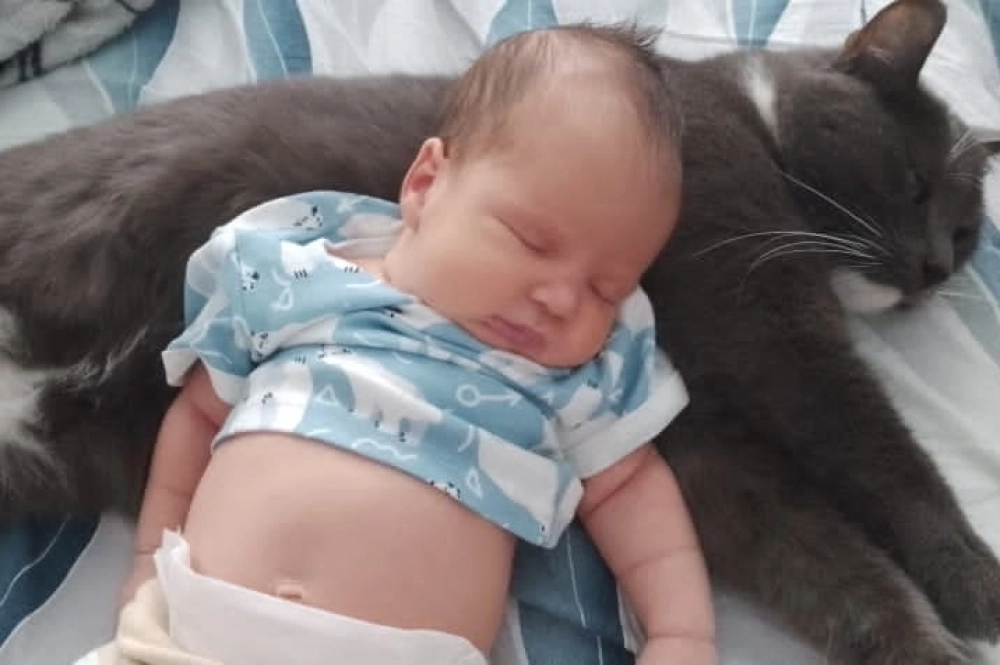 Кажется, пока кот крупнее Димы, но это ненадолго.