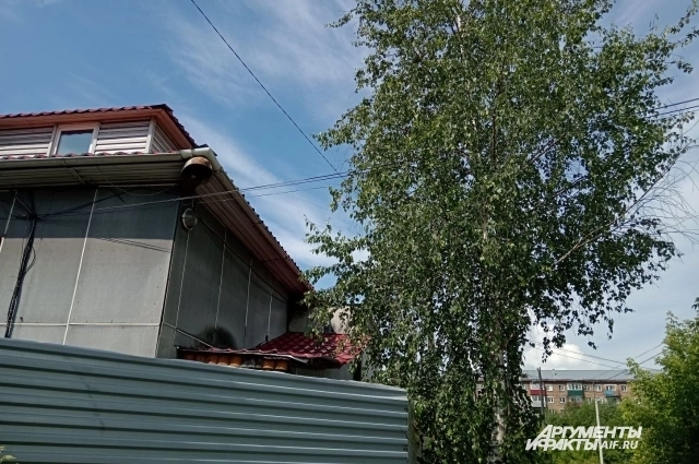 Та самая сауна, где произошла трагедия.