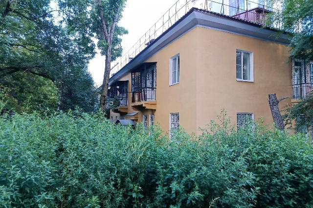 Высокая трава