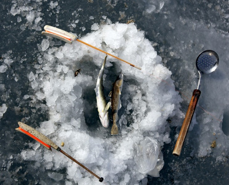 Кто-то ценит зимнюю рыбку, и особенно морскую, за её непередаваемый вкус. 
