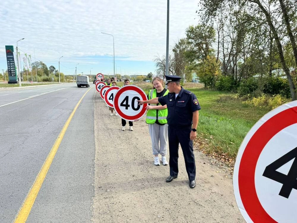 Возвращение из отпуска на автомобиле: советы по подготовке к долгой поездке