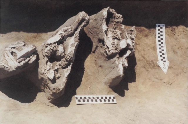 Черепа коней среди человеческих захорнений