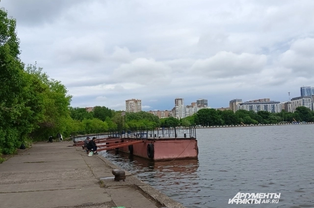 Последняя серьёзная очистка пруда проводилась десять лет назад.