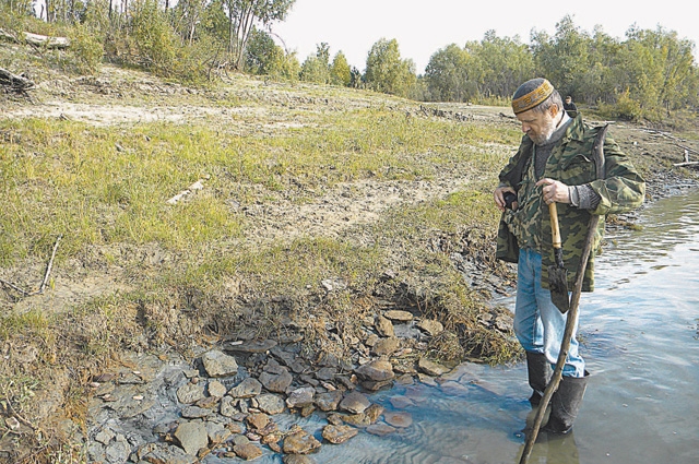 Кость в 2008 году на берегу Иртыша нашёл омский художник Николай Перистов.