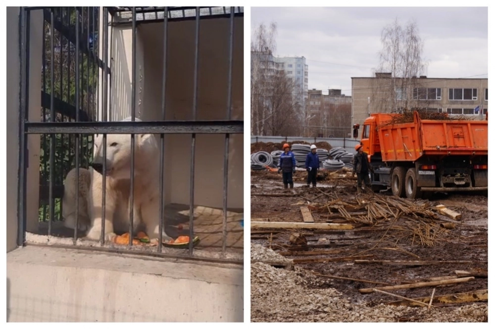 Пока шла реконструкция зоопарка в Перми, Терпей ютился в Казани.