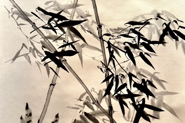 Алена Савюк. Ростки в саду стойкости.