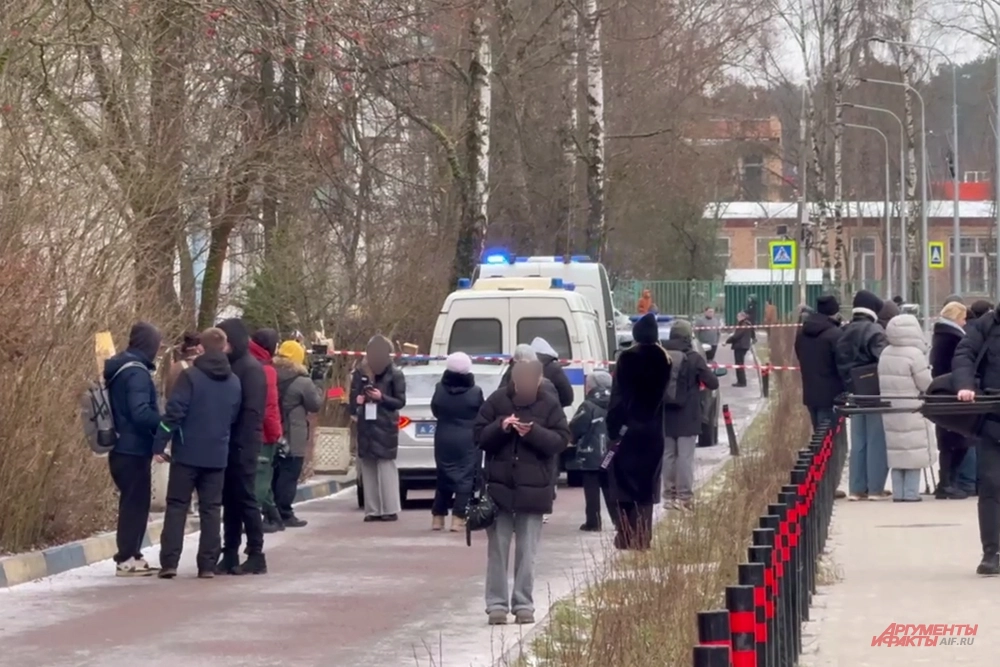 одинцово. нападение на школу