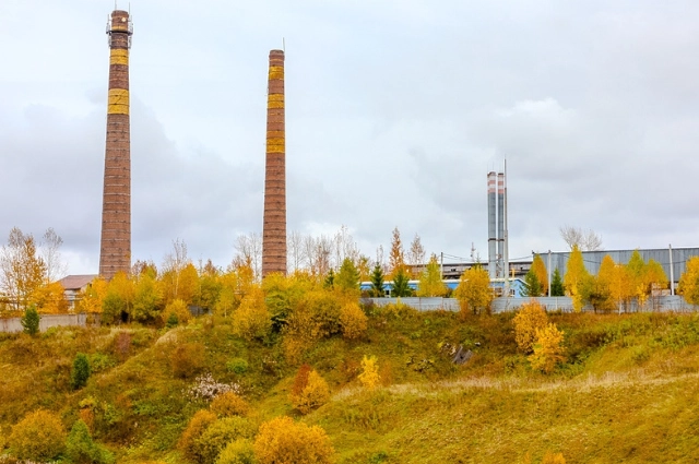 Овчинка выделки стоит. Как строительство завода лишило разбойника хлеба