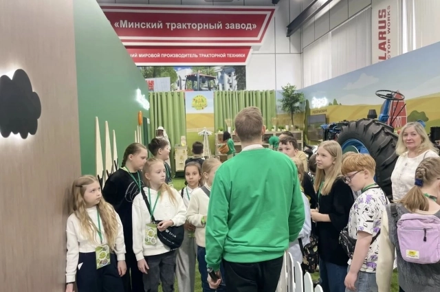 Дети очень увлеклись играми.