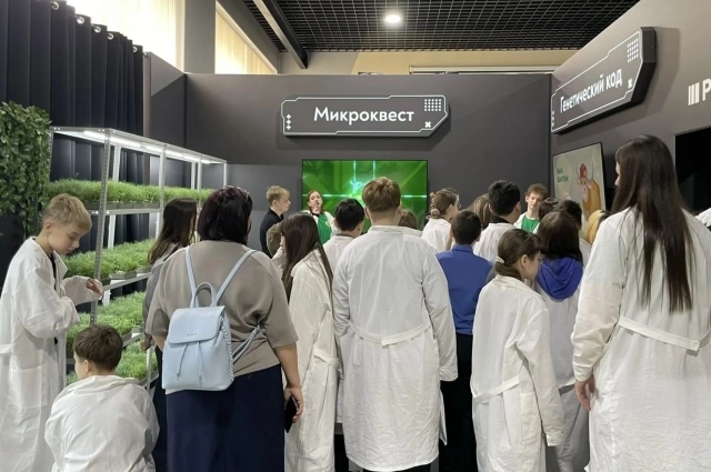 С собой дети уносят не только положительные эмоции, но и огромный багаж знаний!