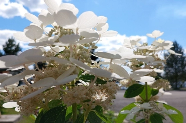 28 октября можно предугадать, какой будет погода в следующем году.