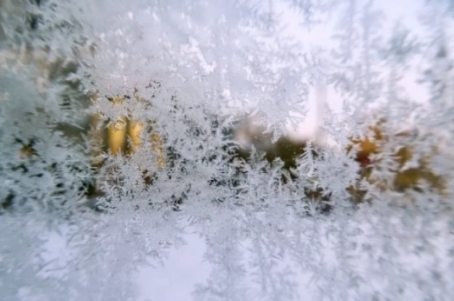 31 января сильные морозы - хорошая примета.