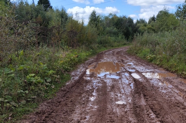 Место может быть привлекательным, но потенциальных покупателей здешних участков и домов отпугивает бездорожье