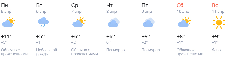 погода нск