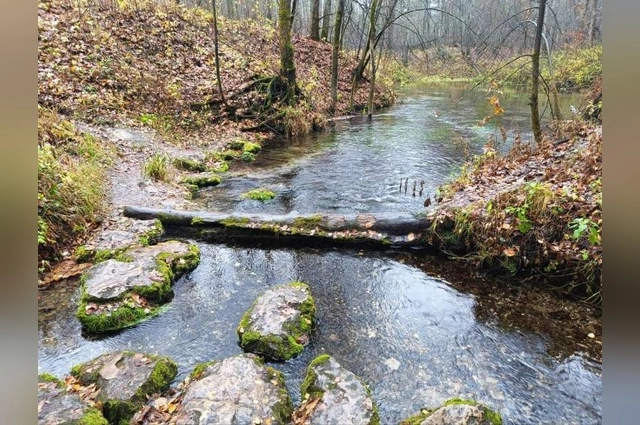 Люди приезжают не посмотреть, а остаться, чтобы услышать.