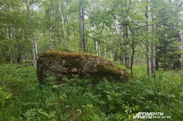 Камень желаний, к которому могли идти Усольцевы.