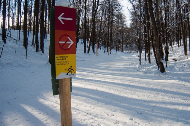Длина лыжни составляет примерно 1-3 километра