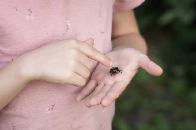 Обычно жестокость к живым существами у детей ограничивается мучениями насекомых.
