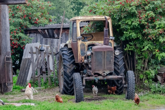 Плакать не о чем! В Усть-Утке соседствуют души сплавщиков и Сергея Есенина