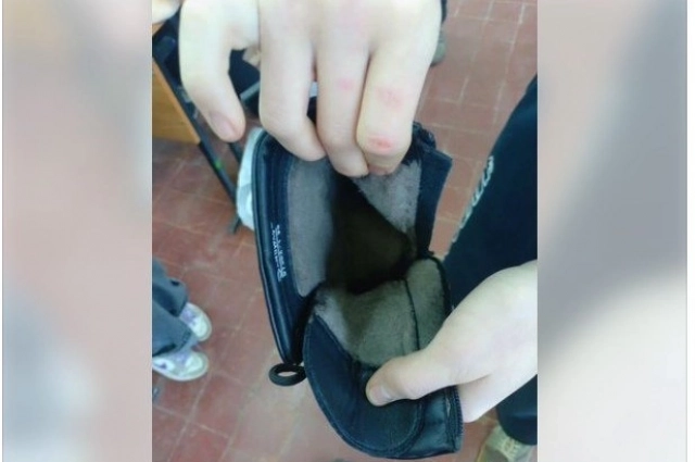 Деревянные каблуки вполне способны конкурировать по цене с новым автомобилем.