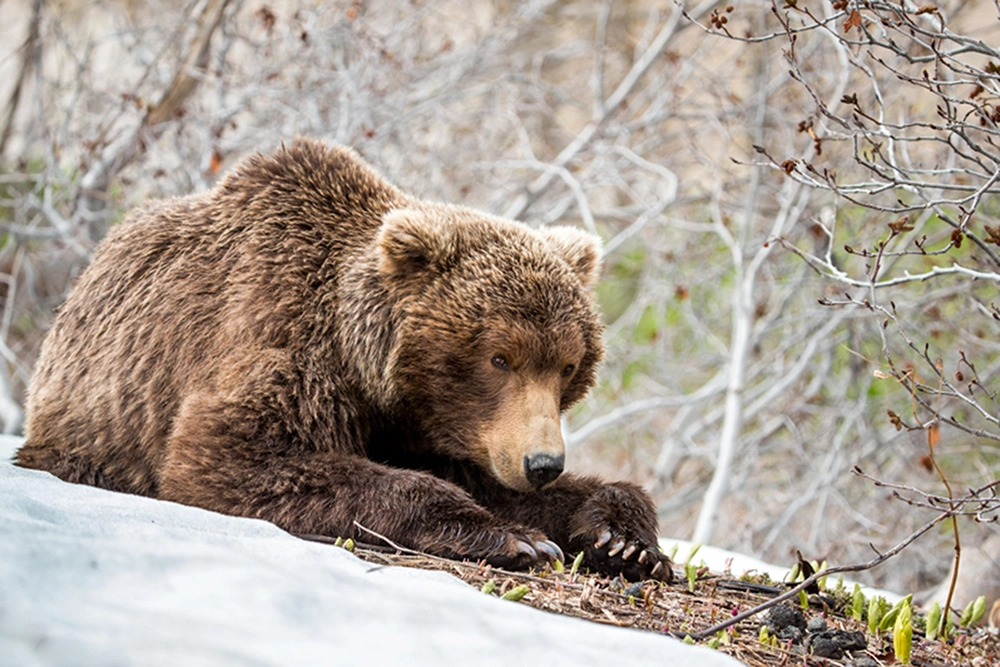 Первые дни после сна.