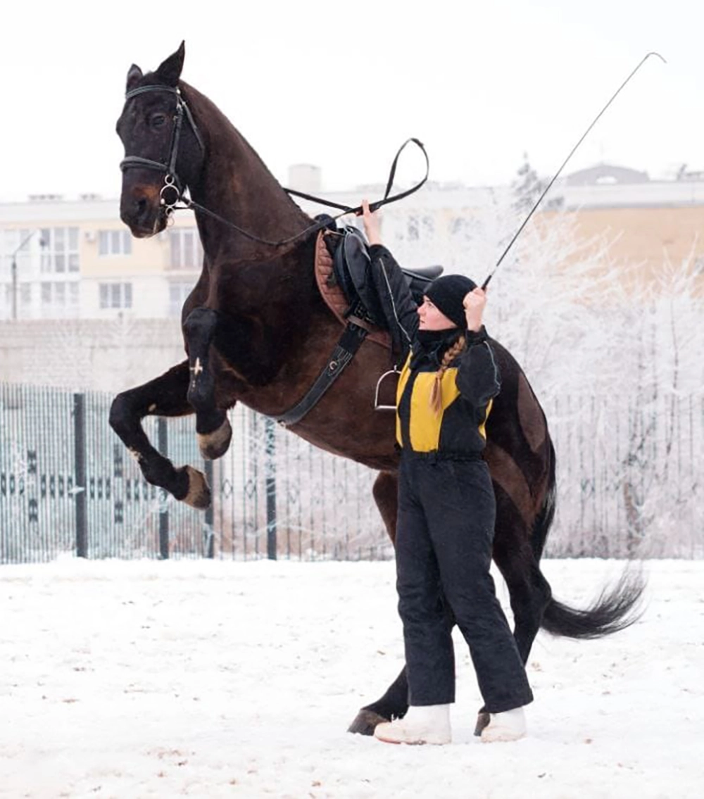 Тренировки, кормление, прогулки – у лошадок в клубе всё по расписанию.