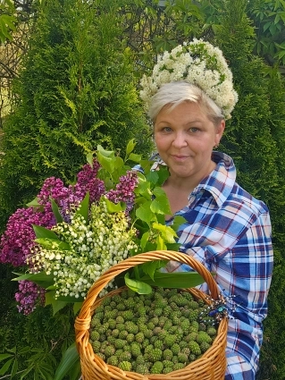 Сезон начинается в варенья из сосновых шишек
