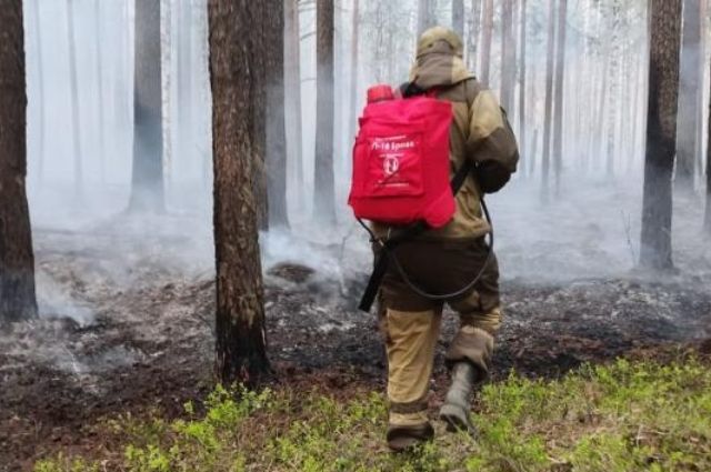 Аграрии и промышленники Урала участвуют в борьбе с природными пожарами