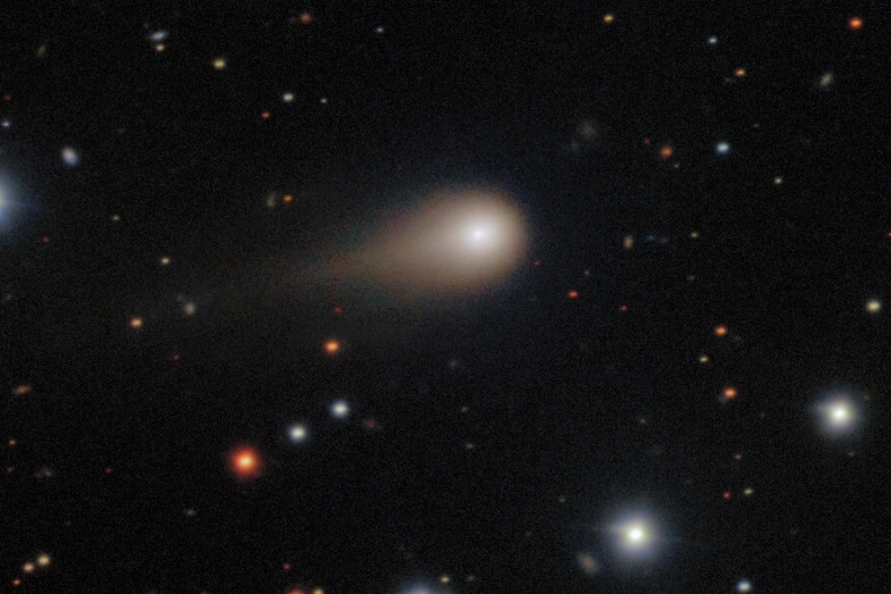 Леб предположил, что импульсы могут свидетельствовать об «искусственном происхождении» 3I/ATLAS.