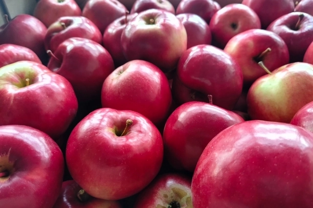 Продукты для похудения надо выбирать с учётом состояния здоровья.