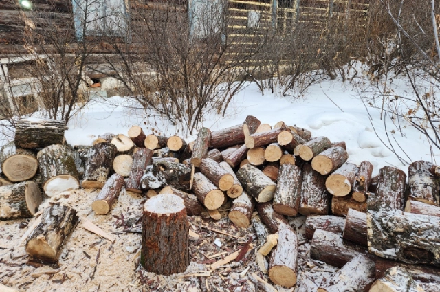 незаконная вырубка, чурбаки, дрова, бензопила