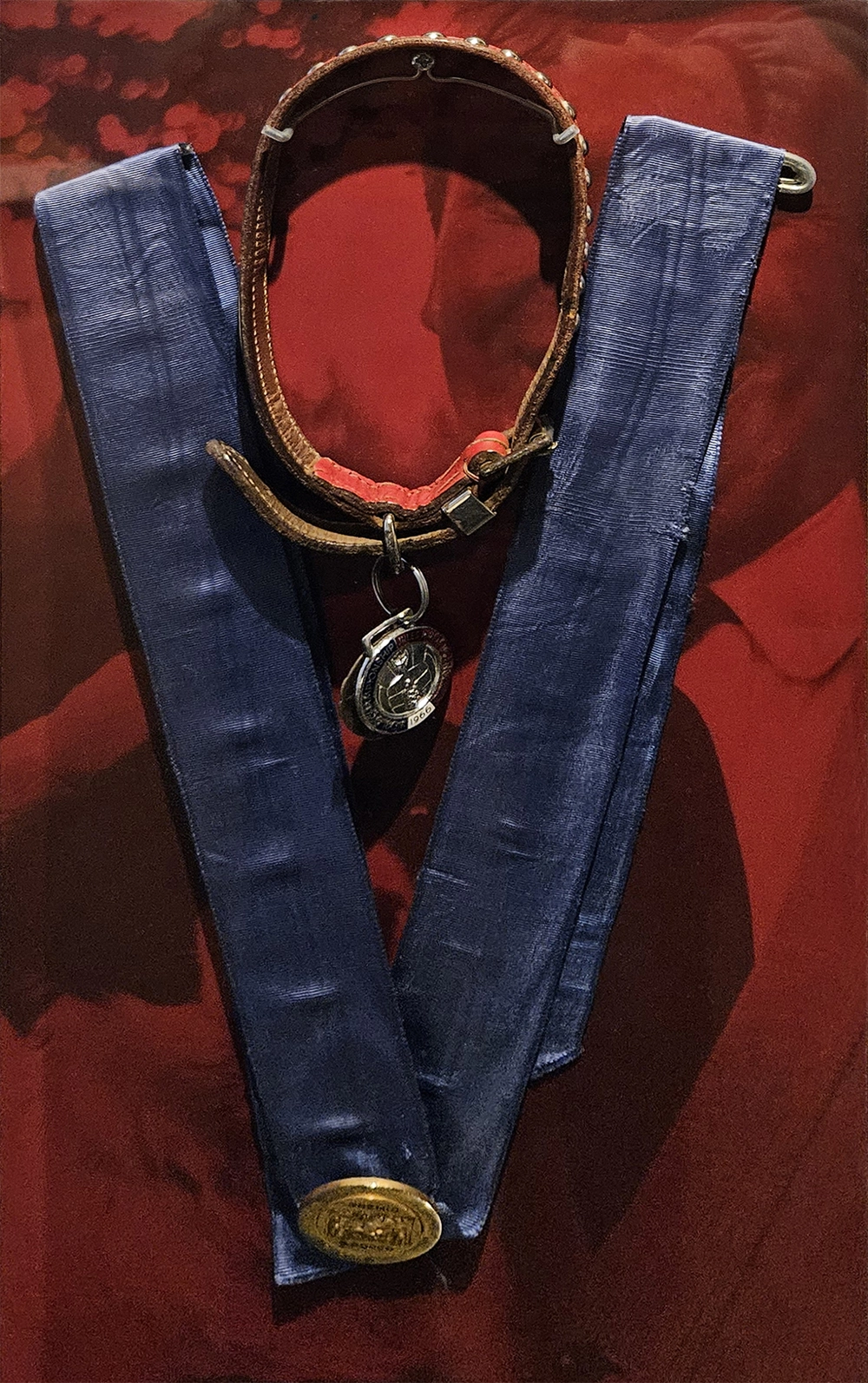 Ошейник Пиклза.
