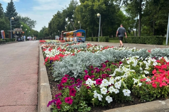 агородный парк встречает гостей ухоженными клумбами.