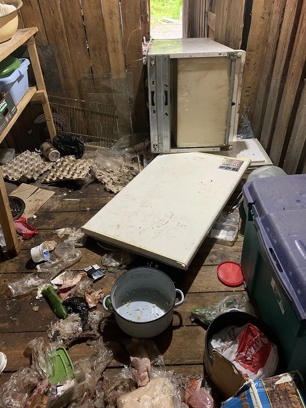 Холодильник медведь почти вытащил на улицу.