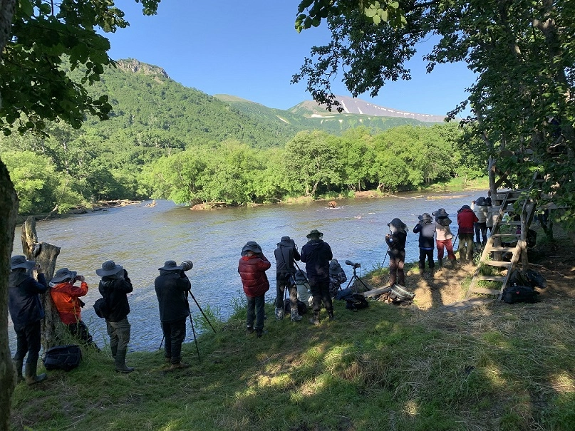 Китайские туристы наблюдают за хищниками.