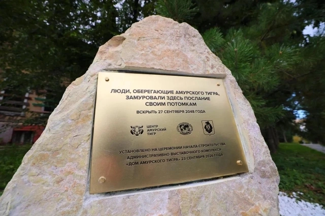 Символический первый камень на месте строительства «Дома амурского тигра»
