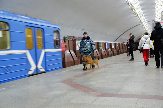 Кинолог с собакой прибыли на поезде метрою