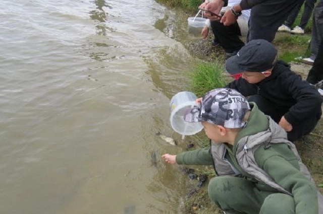 Приручённый уран