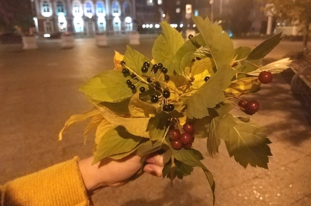 Осенние ягоды, Анна Петрова.