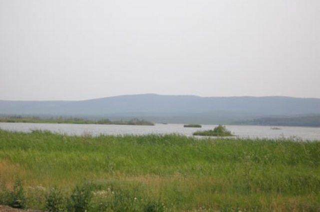 На озере видны плавучие острова.