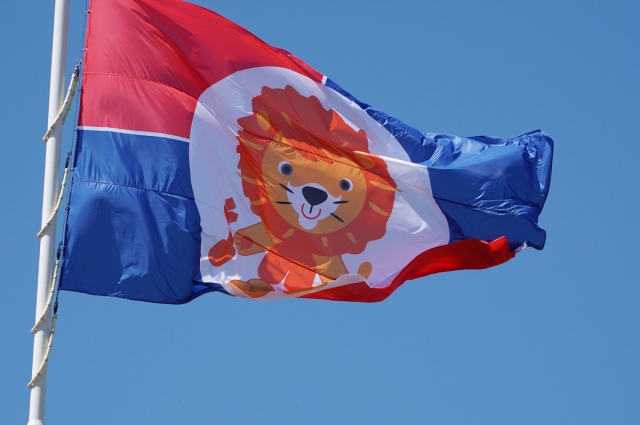 Флаг детства был создан в 2021 году в Красноярске.