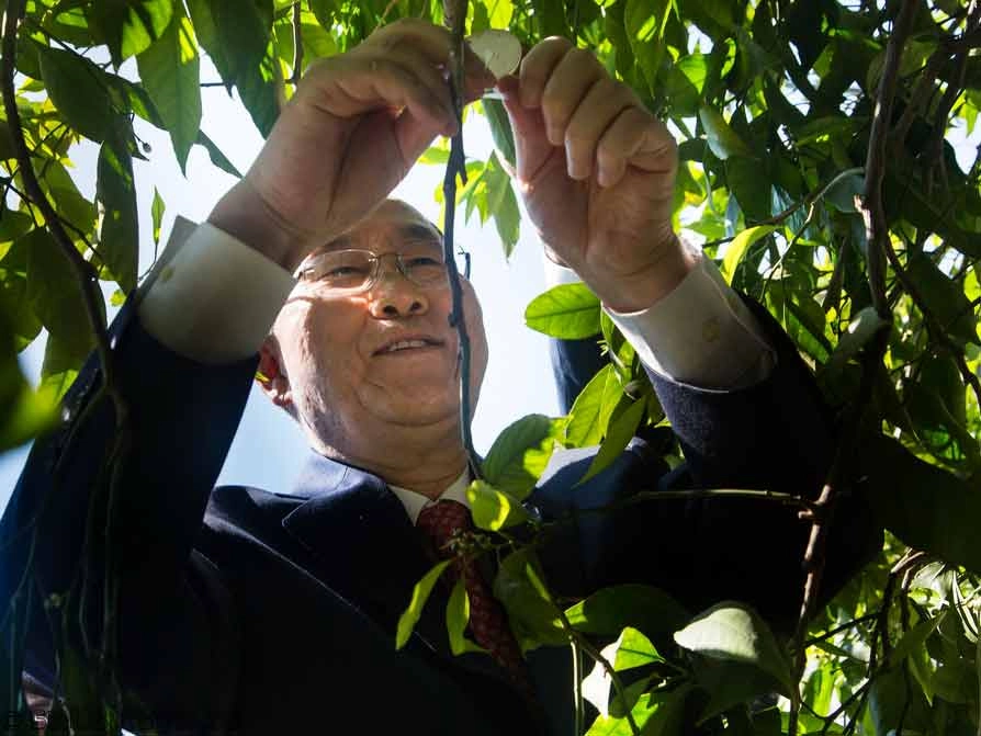 Пан Ги Мун — Генеральный секретарь ООН, 2013 г.